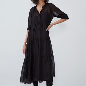 Zara Swiss Dot Dress